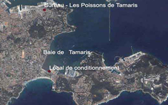 baie de tamaris